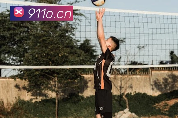 kaiyun.cn官网入口平台生态图